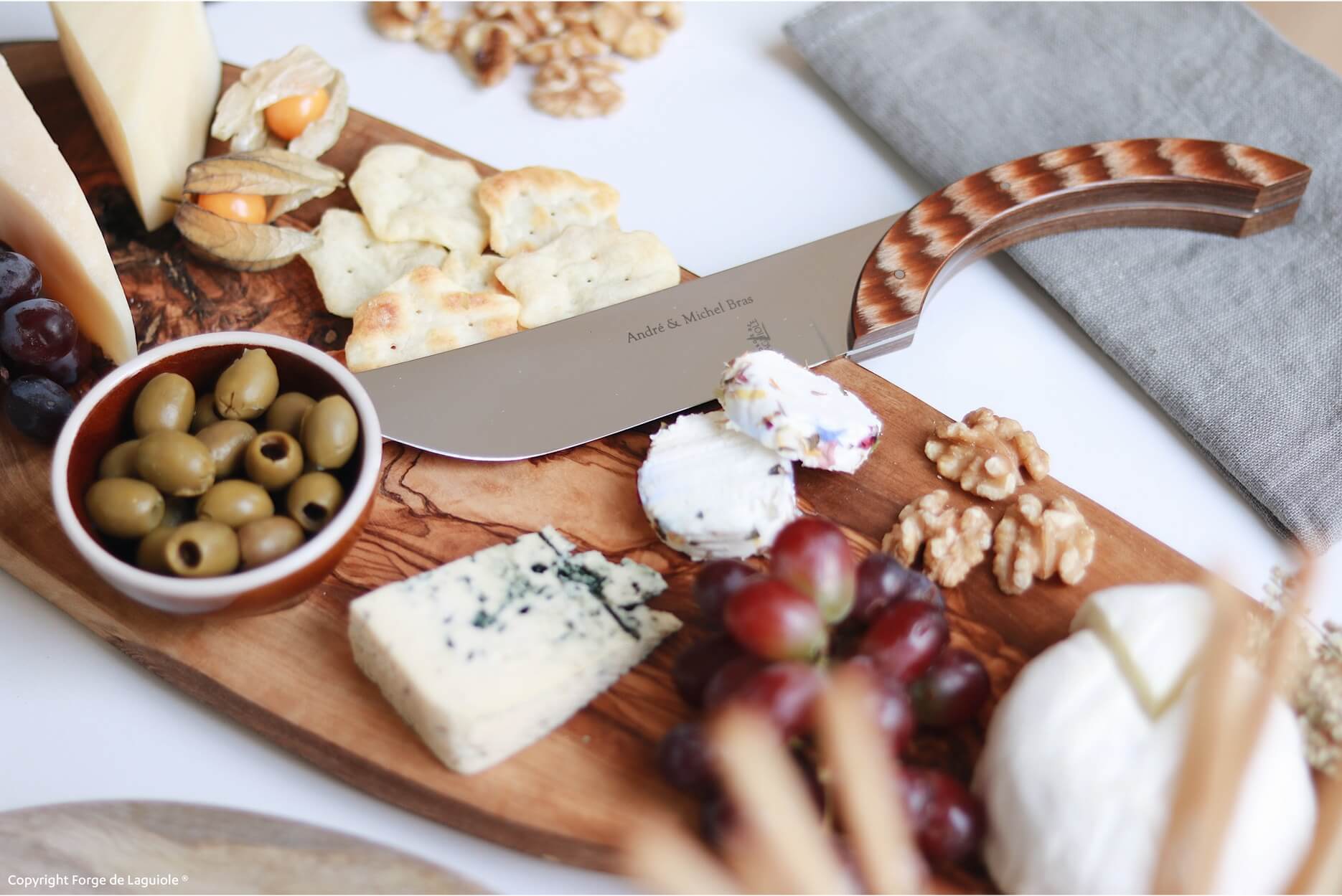 Michel Brasin juustoveitsi, kestävyyskahva, kiiltävä pinta Référence: 00004237