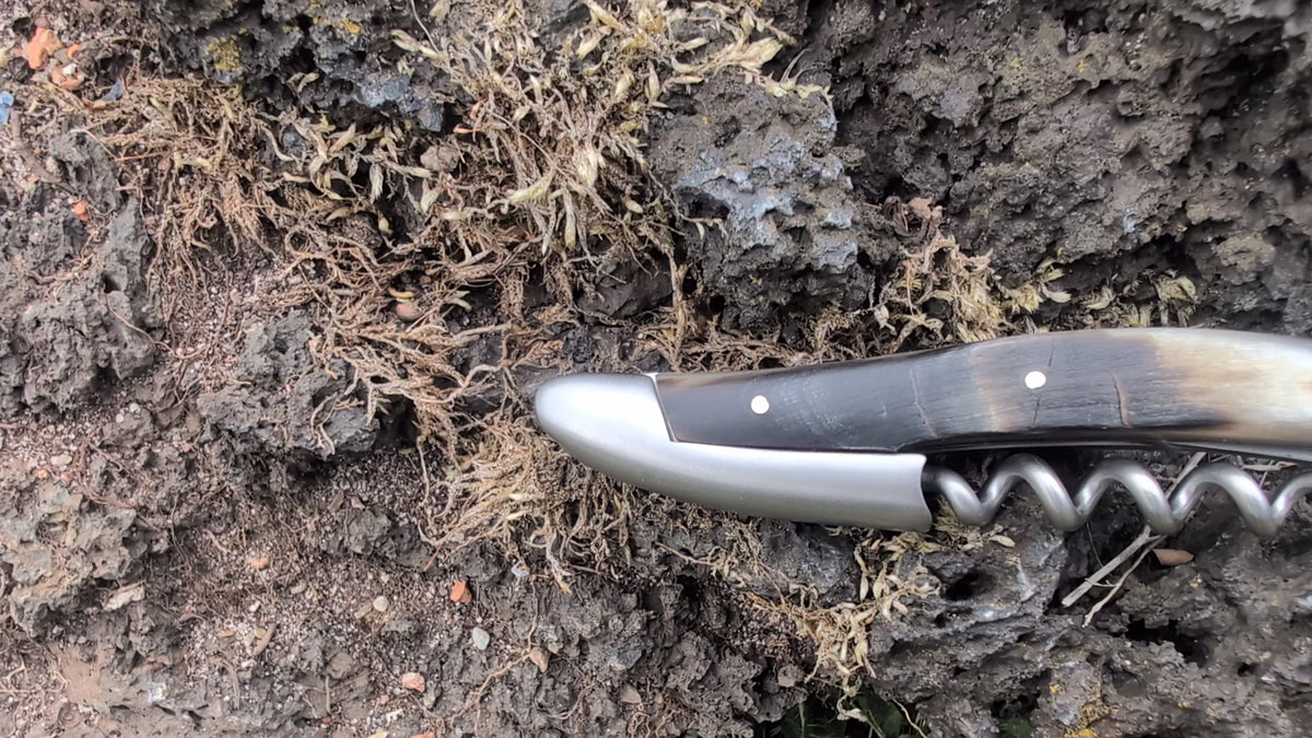 Forge De Laguiole Sommelier Aubrac Horn Satin viimeistely