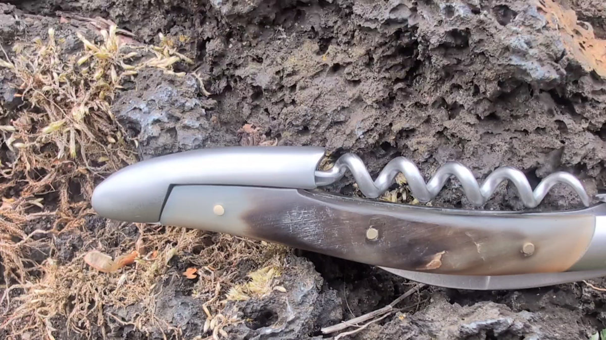 Forge De Laguiole Sommelier Aubrac Horn Satin viimeistely